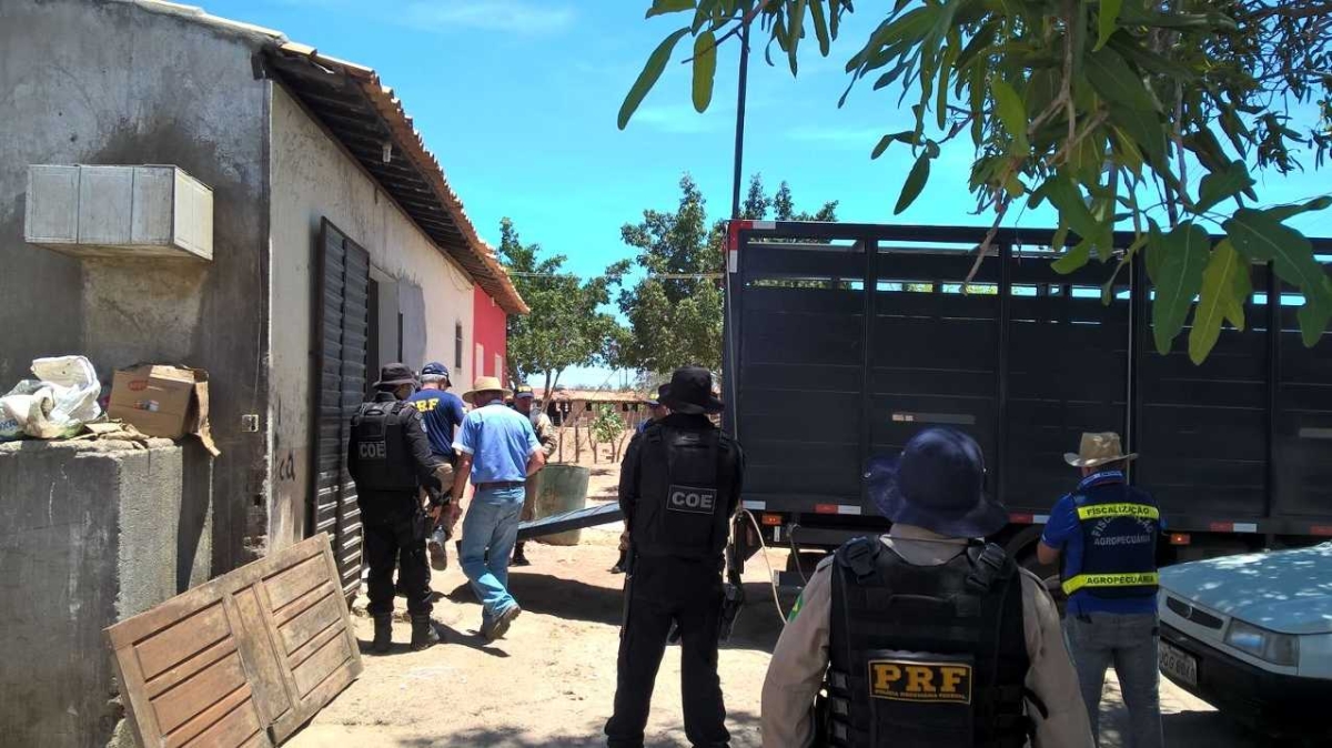 FPI Sergipe: 2.500 kg de requeijão e manteiga são apreendidos durante fiscalização em Monte Alegre (Imagem: Assessoria FPI)