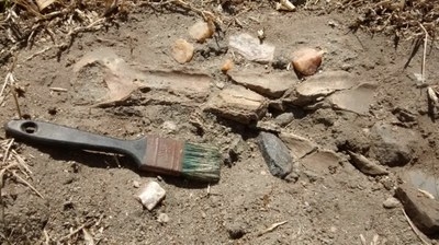 FPI descobre novo sítio arqueológico em Gararu na mesma área de um sítio fossilífero (Imagem: FPI/SE)