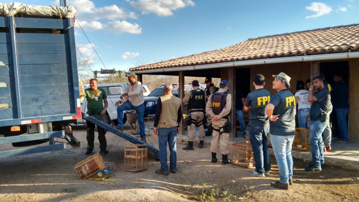 Em três dias de atividades FPI/Sergipe resgata 273 animais silvestres (Imagem: Assessoria FPI)