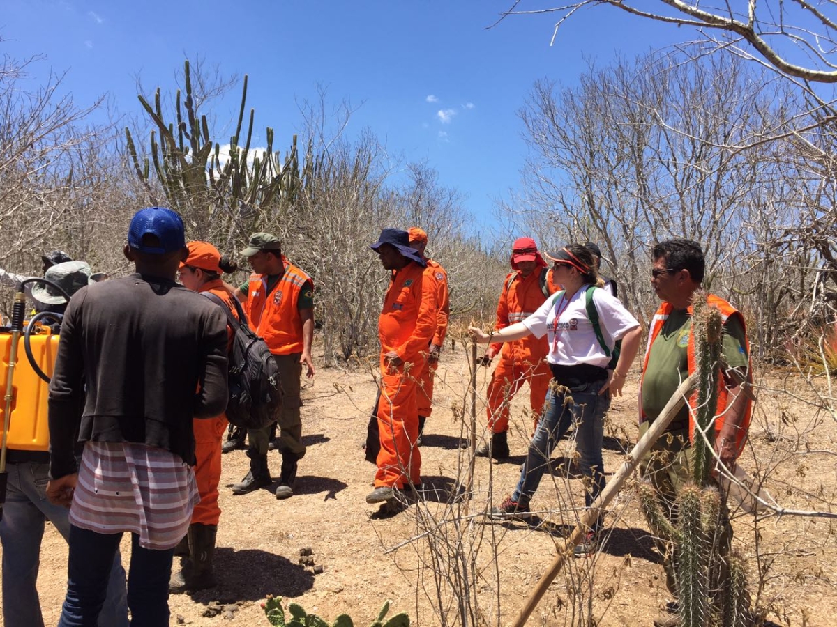 FPI de Sergipe investiga causas de incêndio em terras indígenas em Porto da Folha e auxilia no combate ao fogo (Imagem: Assessoria FPI)