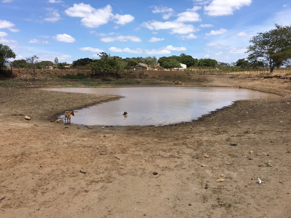 FPI/Sergipe: Sem água tratada comunidade quilombola compartilha açude público com animais (Imagem: Assessoria FPI)