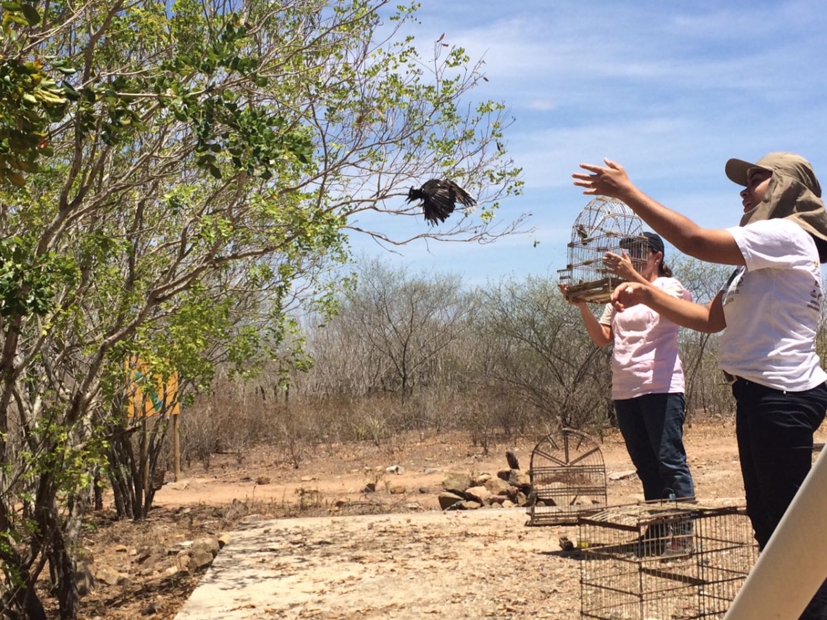 Em Sergipe FPI já devolveu mais de 500 animais à natureza (Imagem: Assessoria FPI/SE)