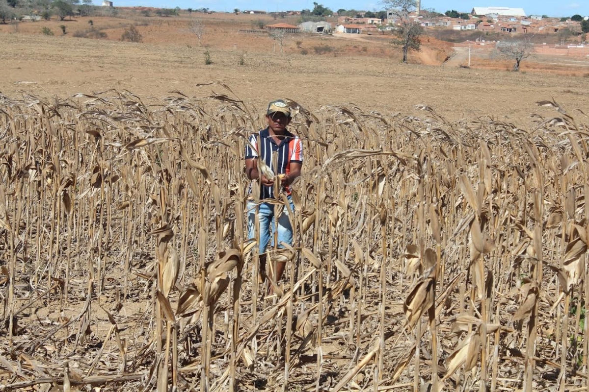 Prejuízos na lavoura causados pela seca serão minimizados com novo empréstimo (Imagem: John Santana/Assessoria André Moura)