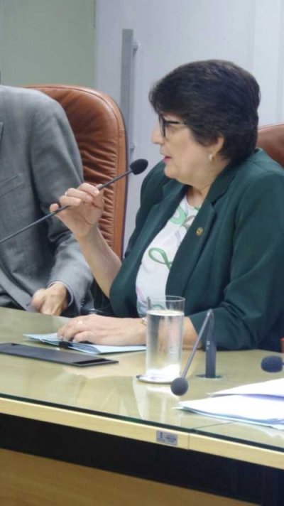 Deputada estadual Maria Mendonça (Imagem: Assessoria Maria Mendonça)