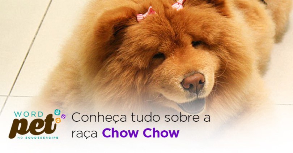 Conheça tudo sobre a raça Chow Chow (Imagem: Word Pet/Sou de Sergipe)