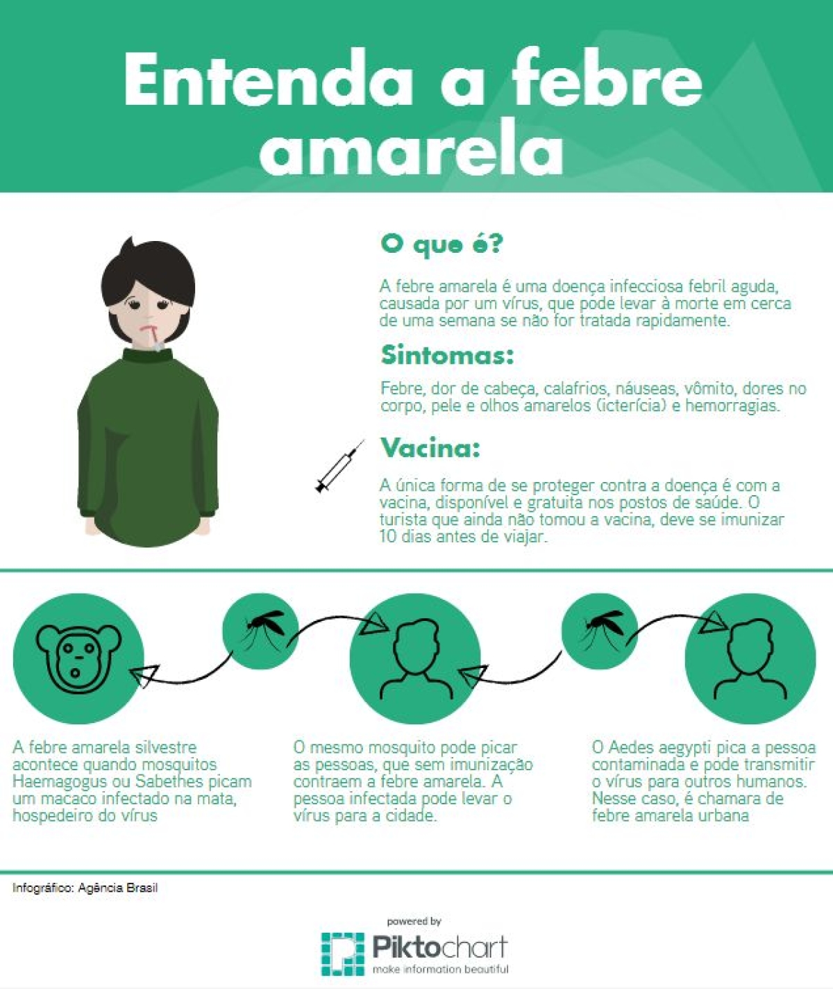 Febre amarela: conheça os sintomas e saiba quando tomar a vacina (Imagem: Agência Brasil)