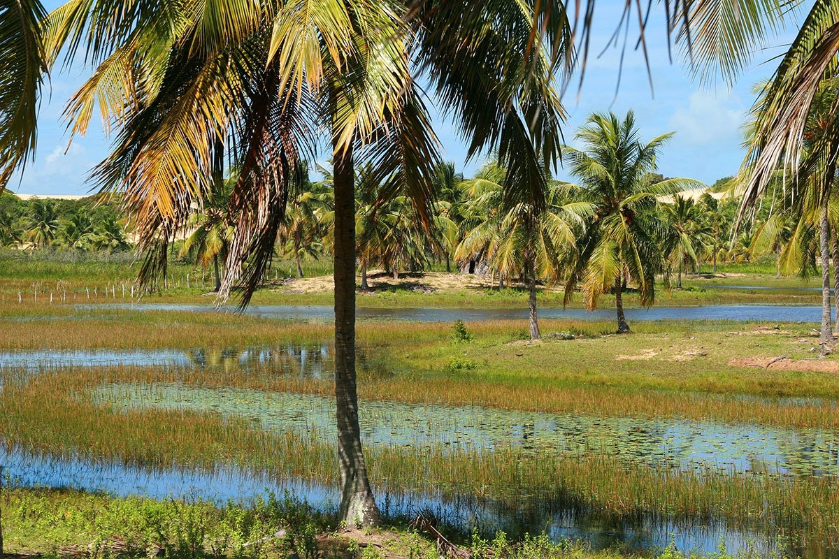 Pacatuba reúne Pantanal e Lençóis Maranhenses num só destino (Imagem: Viramundo e Mundovirado | Rede Catraca Livre)