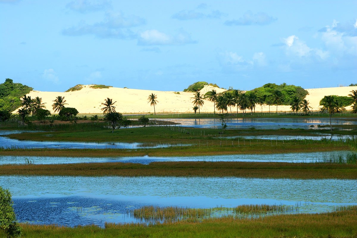 Pacatuba reúne Pantanal e Lençóis Maranhenses num só destino (Imagem: Viramundo e Mundovirado | Rede Catraca Livre)