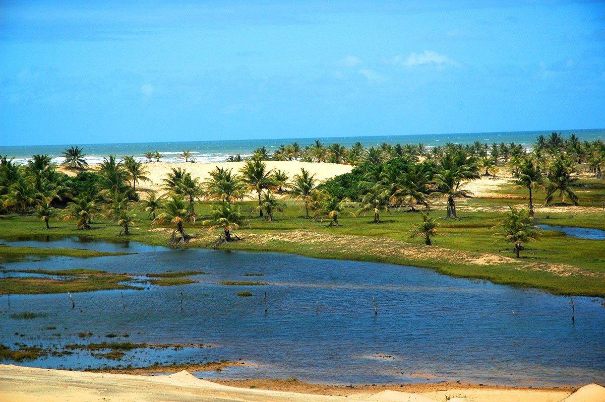 Pacatuba reúne Pantanal e Lençóis Maranhenses num só destino (Imagem: Viramundo e Mundovirado | Rede Catraca Livre)