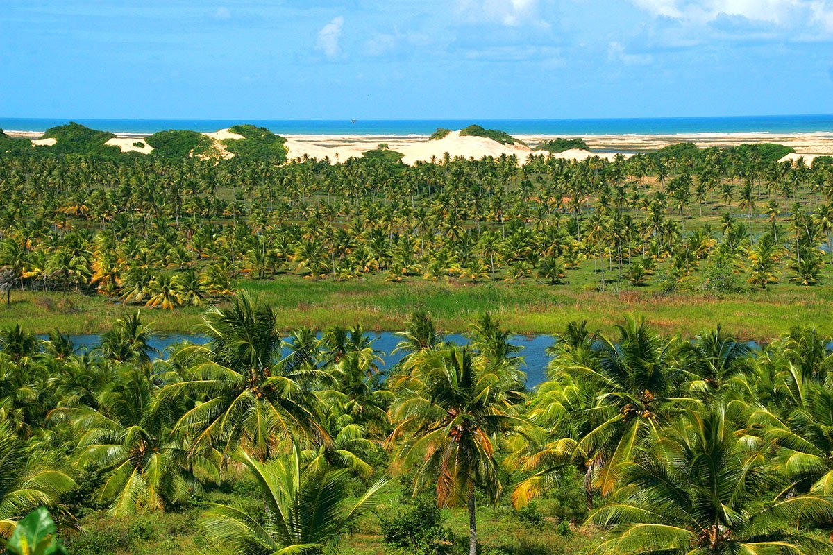 Pacatuba reúne Pantanal e Lençóis Maranhenses num só destino (Imagem: Viramundo e Mundovirado | Rede Catraca Livre)