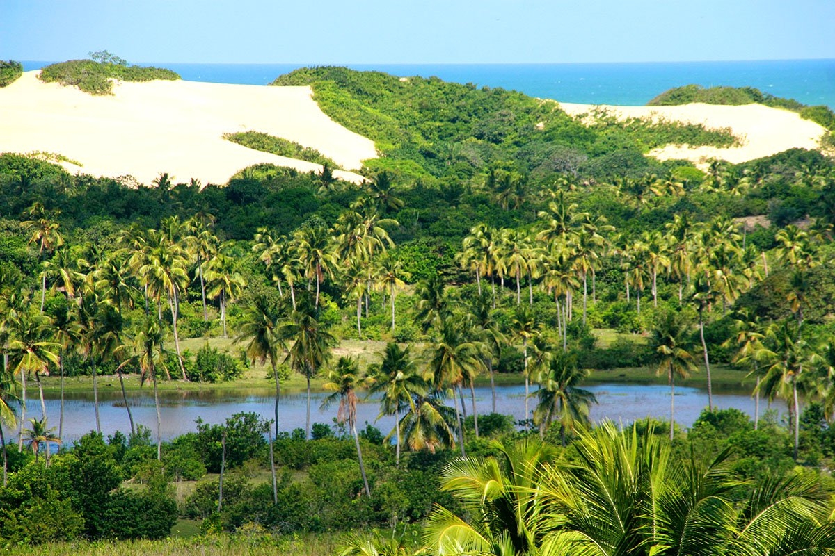 Pacatuba reúne Pantanal e Lençóis Maranhenses num só destino (Imagem: Viramundo e Mundovirado | Rede Catraca Livre)