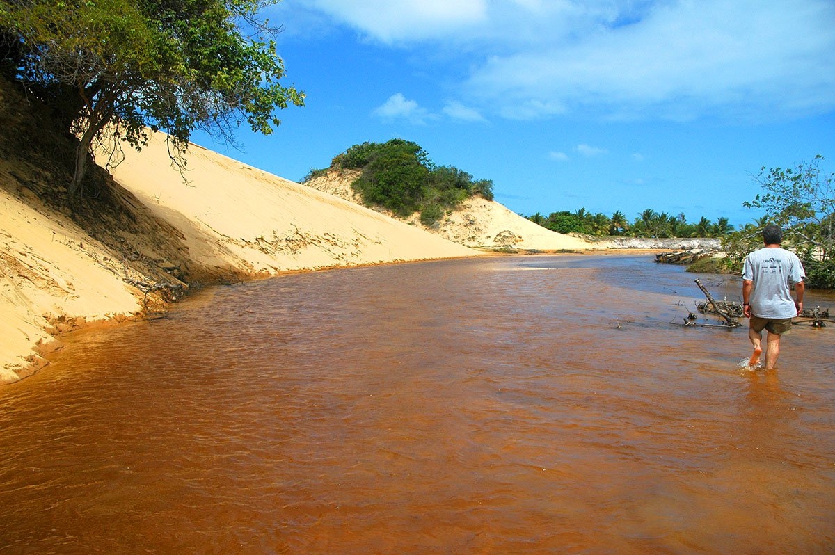 Pacatuba reúne Pantanal e Lençóis Maranhenses num só destino (Imagem: Viramundo e Mundovirado | Rede Catraca Livre)