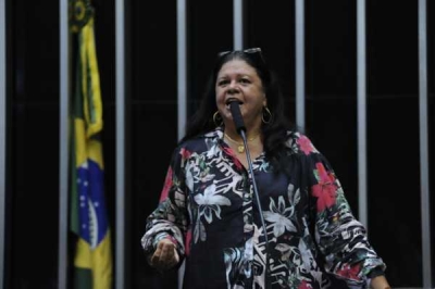 Laura Carneiro, projeto mostra como é fácil produzirr legislação decente que ajude as pessoas (Foto: Luís Macedo/Câmara dos Deputados)