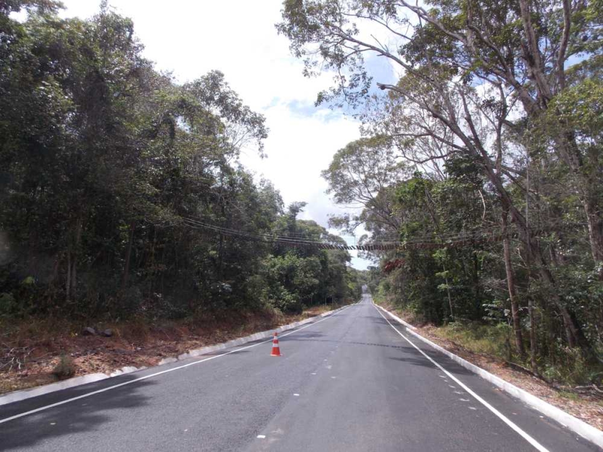 A primeira rodovia com passagem de fauna (Foto: Site Garibalde Mendonça)