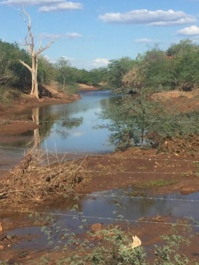 O rio Curituba reapareceu após as atividades do Projeto Nascente do São Francisco (Foto: PR/SE)