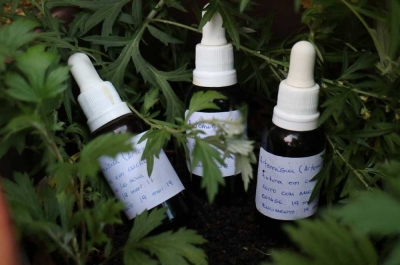 Aracaju recebe oficina de ervas medicinais (Foto: Divulgação)