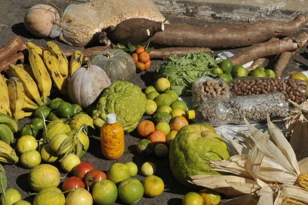 Produção de alimentos e até de celular pode reduzir reservas de água, alerta ONG (Foto: Arquivo/Agência Brasil)