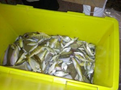 Programa IST/AIDS realiza campanha Prevenção e Solidariedade no interior de Sergipe (Foto: SES/SE)