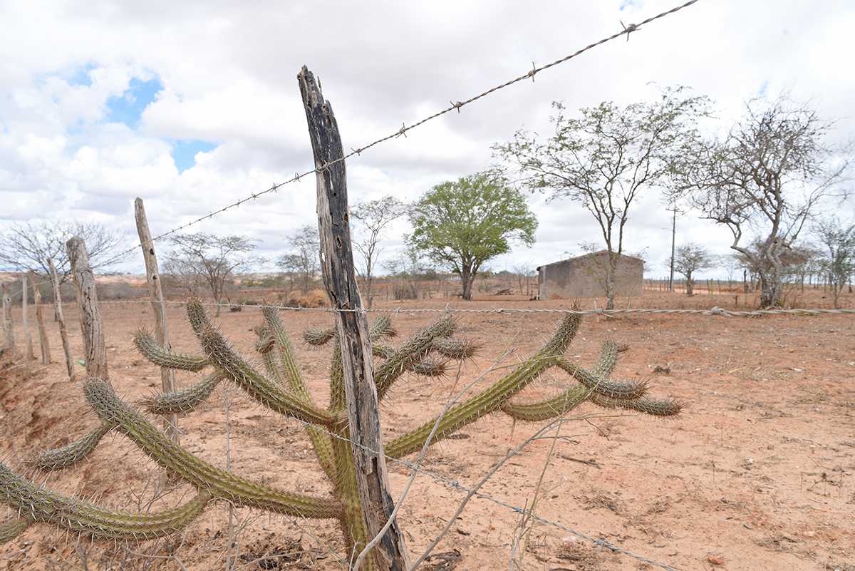 Ao todo, 32 municípios sergipanos já decretaram situação de emergência devido à seca e foram reconhecidos pelo governo federal (Foto: Marcelle Cristinne/ASN)