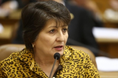 Deputada estadual Maria Mendonça (Foto: Divulgação)