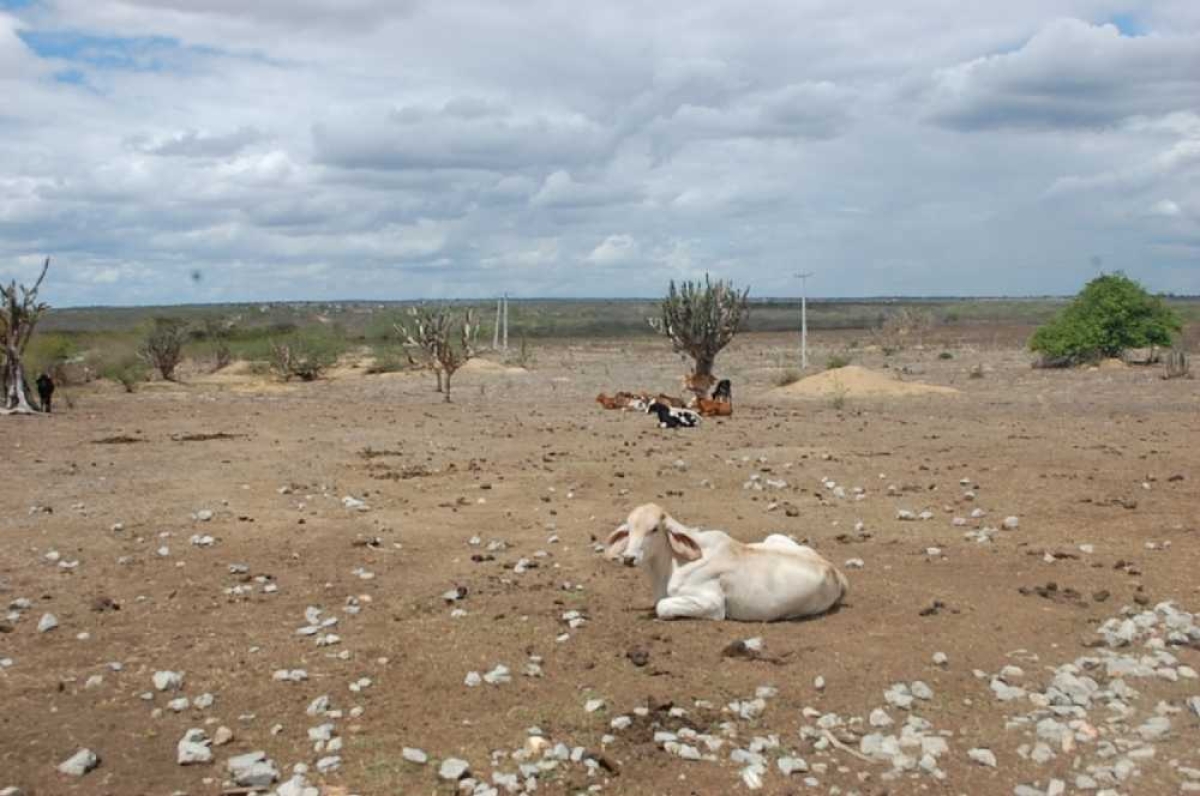 A portaria já foi publicada no Diário Oficial da União (Foto: Portal Infonet)