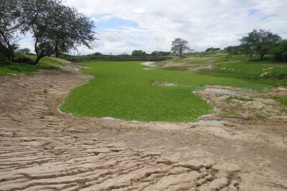 Barragem do Assentamento Paulo Freire (Porto da Folha) começou a pegar água logo nas primeiras chuvas (Foto: Valdi Aragão/Cohidro/SE)