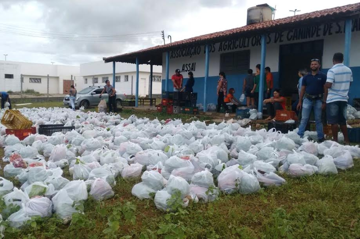 Entregas mobilizam produtores, Cohidro, Cras e conselho de segurança alimentar, para contabilidade e redistribuição dos alimentos  (Foto: Andrea Santtos/Califórnia Cohidro)