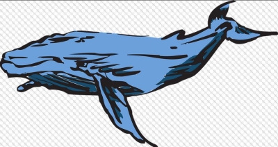 Polícia faz operação contra o jogo Baleia Azul em nove estados (Imagem Ilustrativa: Pixabay)
