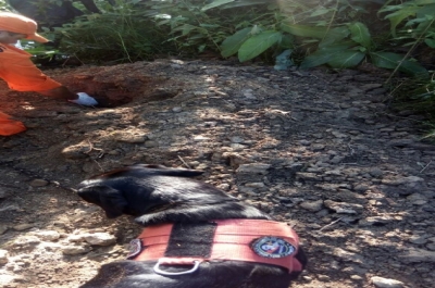  Local onde o corpo foi enterrado (Foto: Grupo whatsApp JP e Ana)