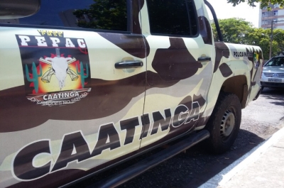 Polícia de Caatinga prende homem por violência doméstica em Gararu (Foto ilustrativa: Via Pingou Notícias)