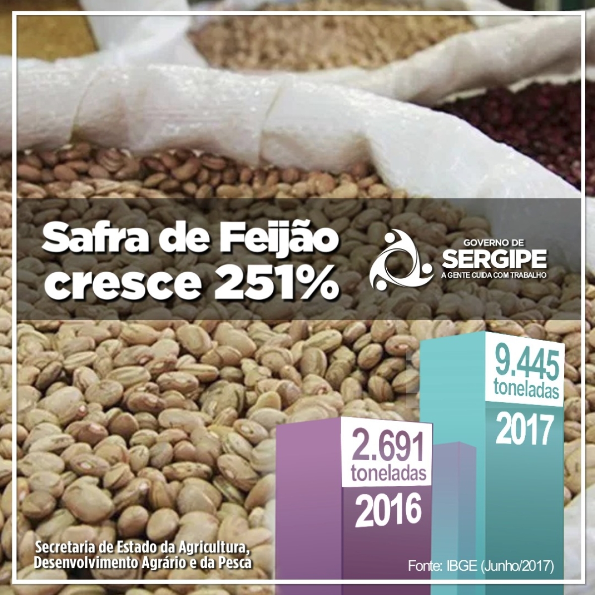 Safra de feijão apresenta crescimento de 251% em Sergipe (Imagem: ASN)