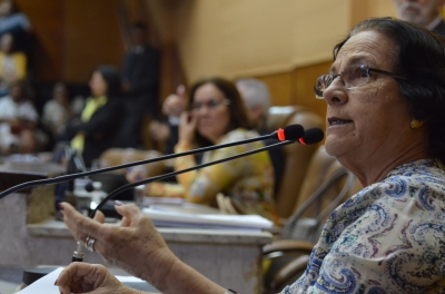 Ana Lúcia apresenta estudo do Sintese que dá alternativas para capitalização de fundo previdenciário (Foto: Jadilson Simões)