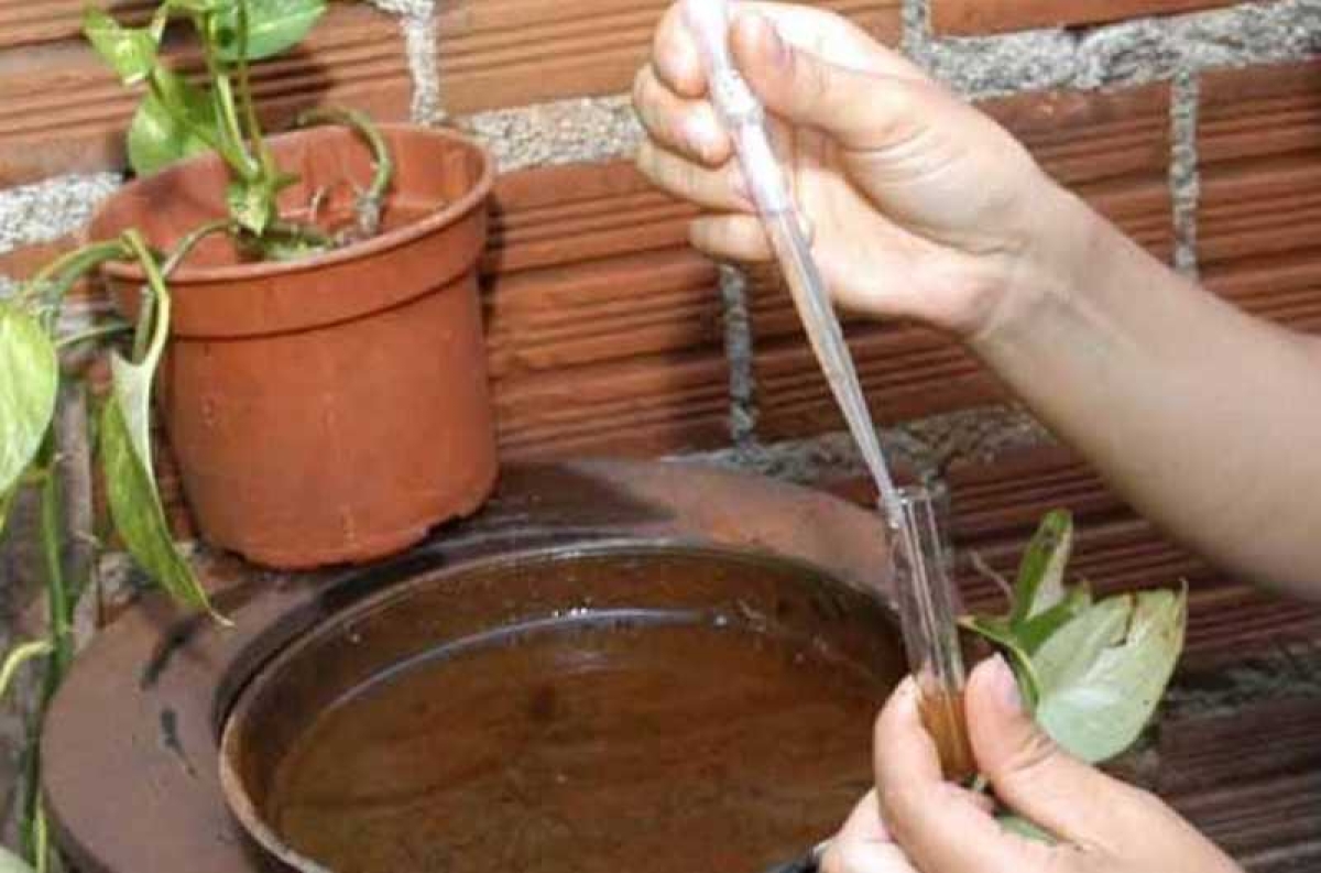 Casos de microcefalia registrados em Sergipe apresentam redução significativa, segundo SES (Foto: SES/SE)