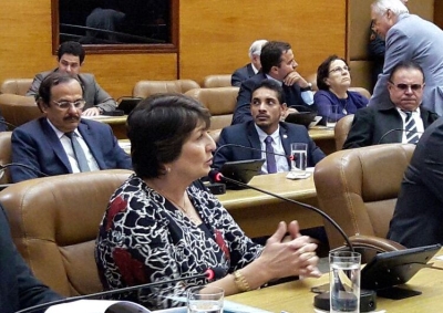 Deputada estadual Maria Mendonça (Foto: Assessoria Maria Mendonça)