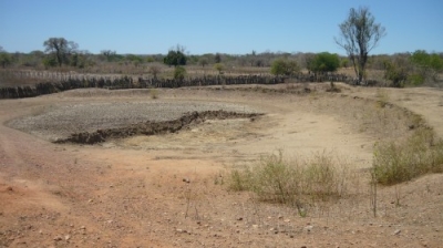 Governo decreta emergência em 173 municípios baianos (Foto: Agência Brasil)