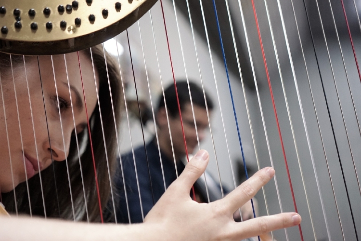 Thais Rabelo (harpista) e Jair Marciel (contrabaixista) (Foto: PMA)