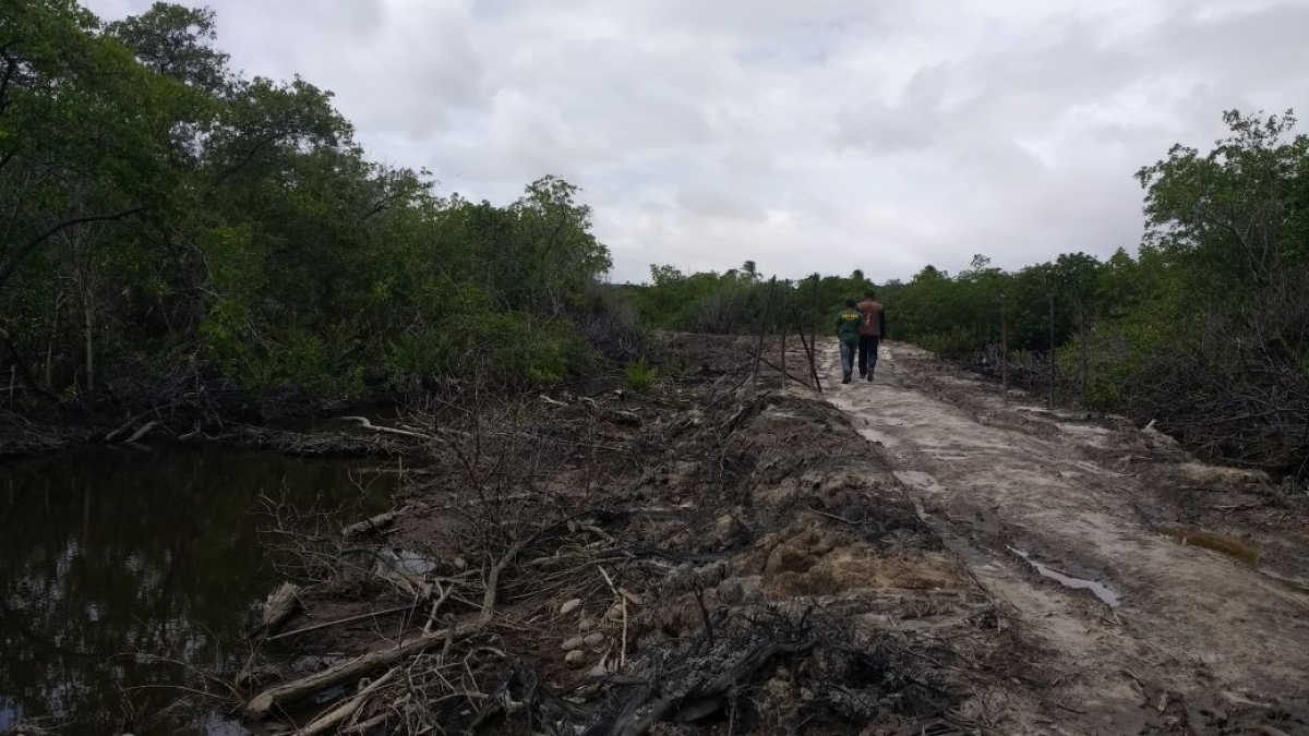 FPI/Sergipe flagra desmatamento de Mata Atlântica em Pacatuba (Foto: Assessoria FPI/SE)