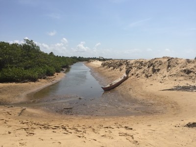 Intervenção no estuário foi feita com tratores (Foto: FPI/SE)