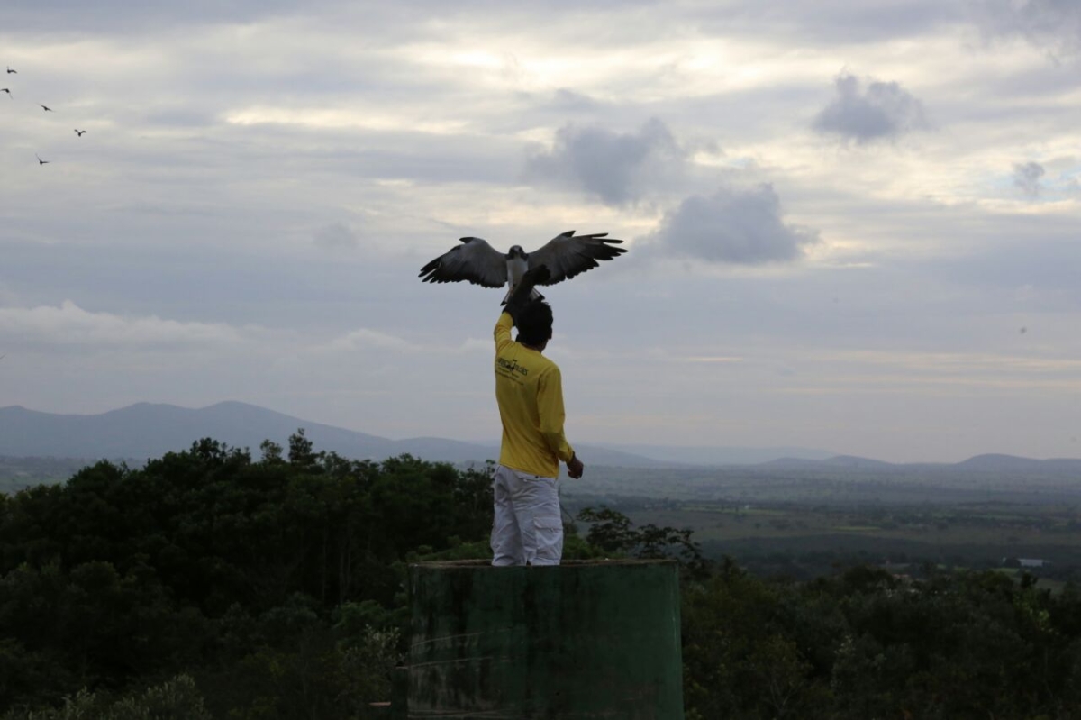 Artistas sergipanos realizam show em prol ao Parque dos Falcões (Foto: Jorge Henrique/ASN)