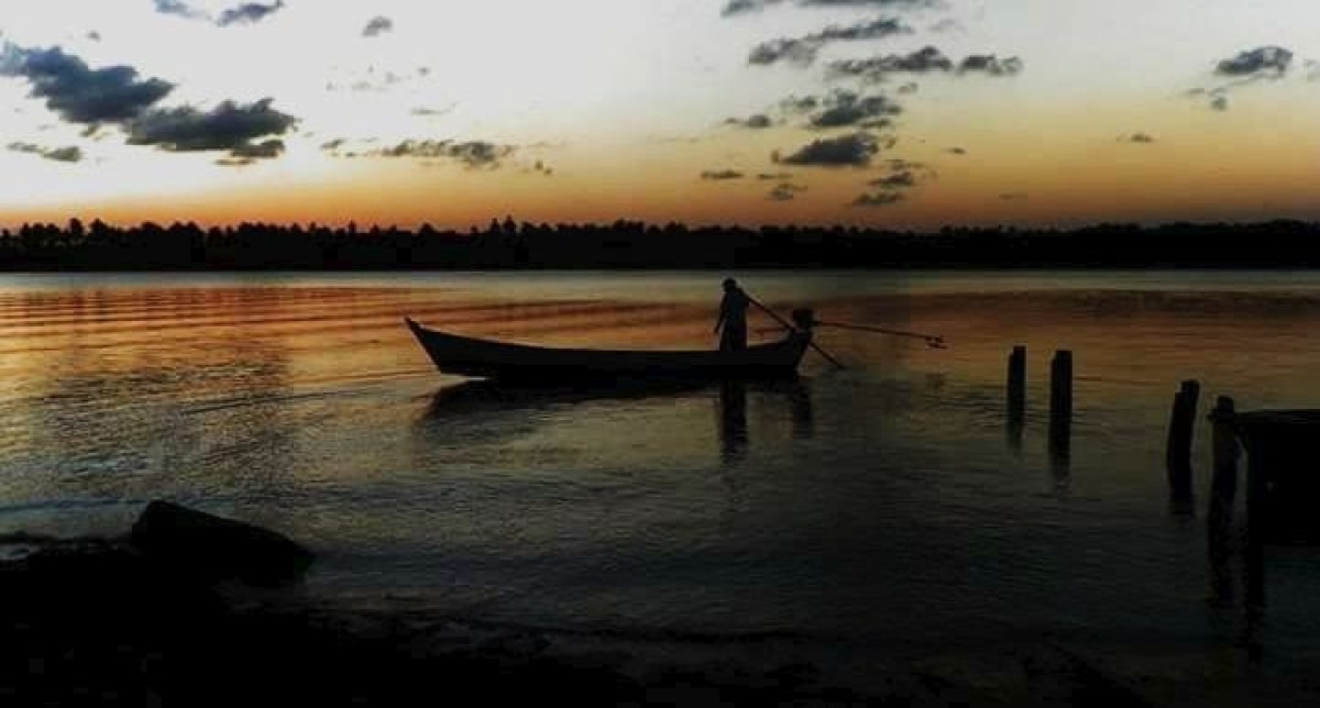 Exposição "Paramopama em Foco" aporta no Memorial do Poder Judiciário (Imagem: Reprodução)