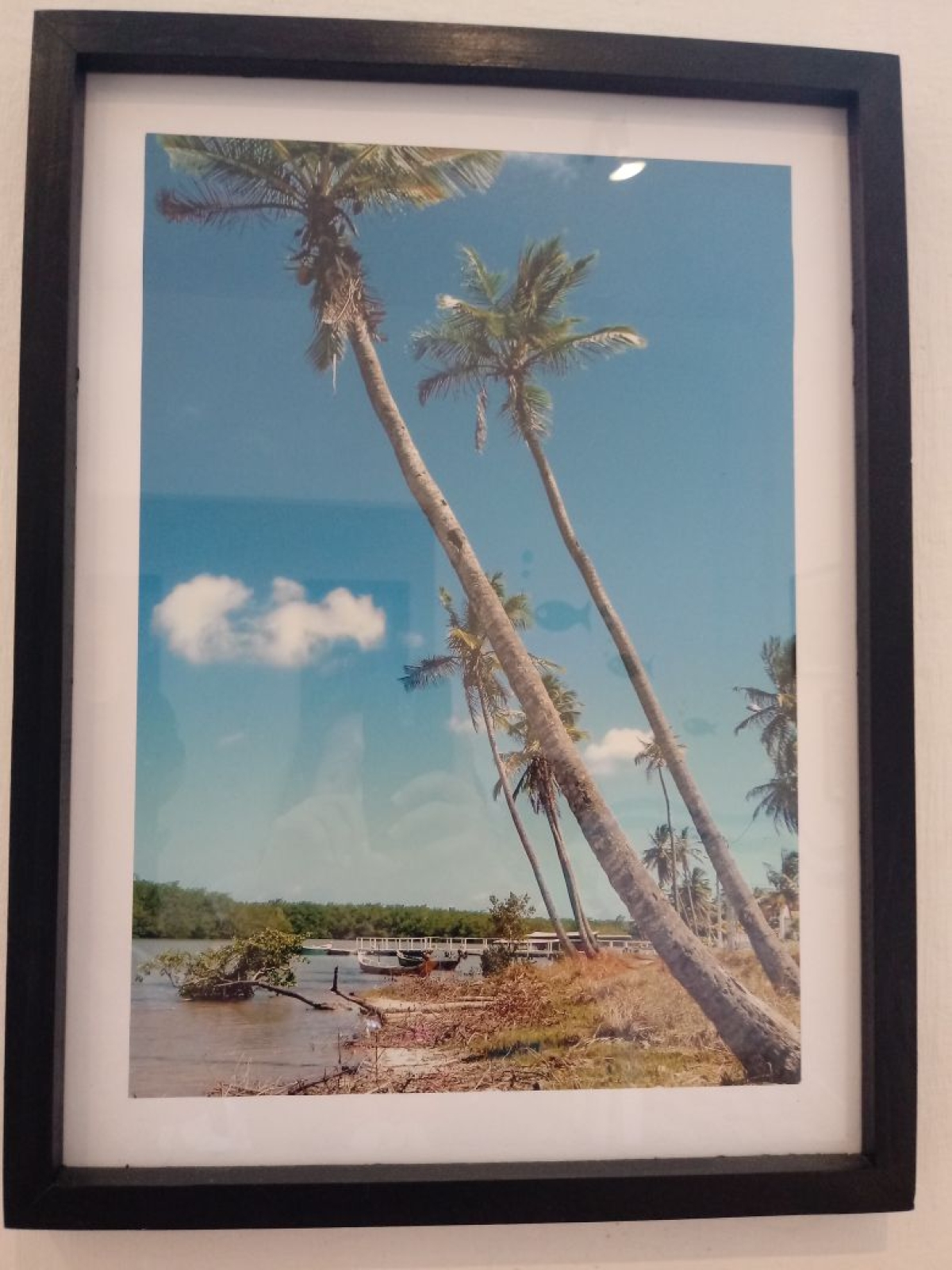 Exposição "Paramopama em Foco" aporta no Memorial do Poder Judiciário (Imagem: Reprodução)