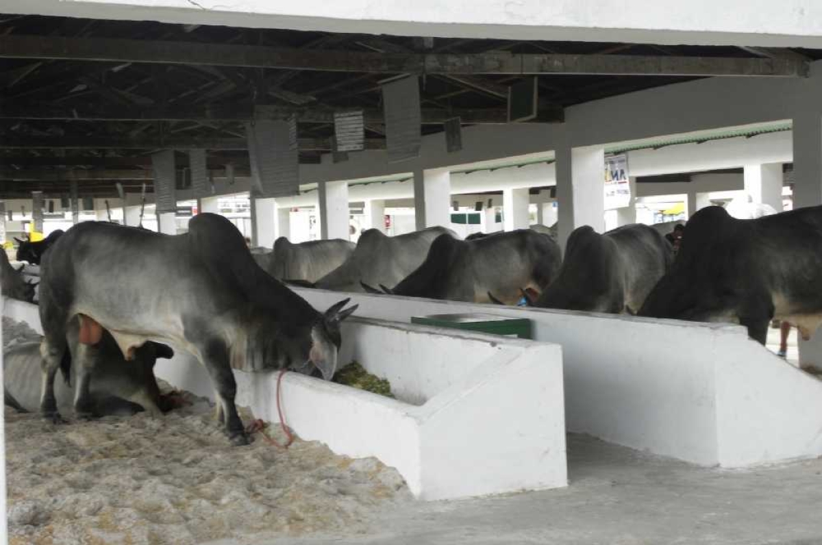 Abertura acontece às 19h do dia 14 e segue até dia 18 (Foto: Arquivo Portal Infonet)