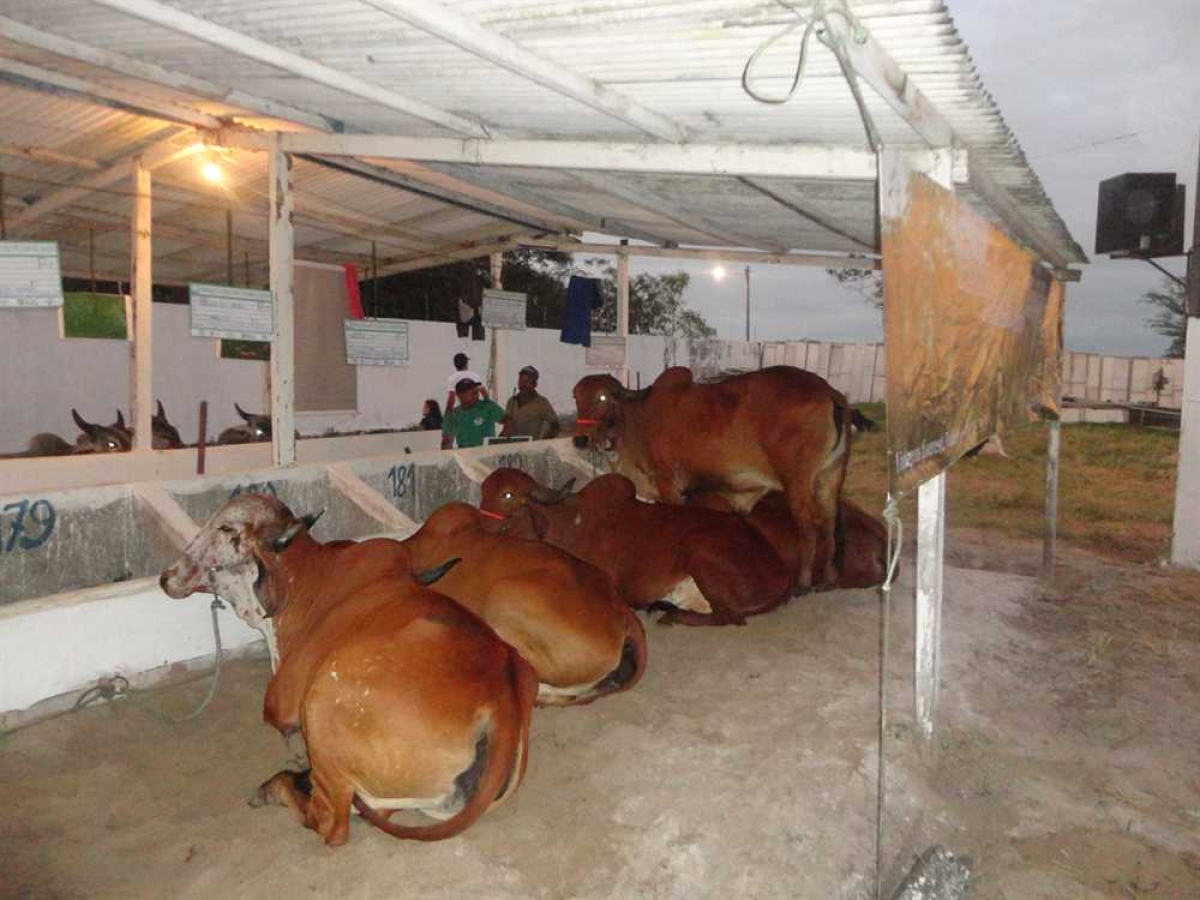 Feira Agropecuária acontece em Aracaju (Foto: Assessoria do Evento)