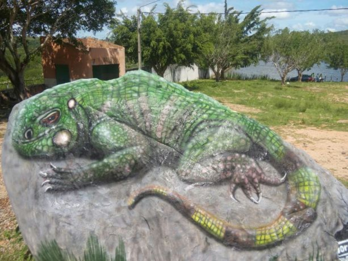 Artista faz pintura em 3D na barragem de Lagarto em homenagem aos 138 anos do município (Foto: Lagarto Como Eu Vejo)