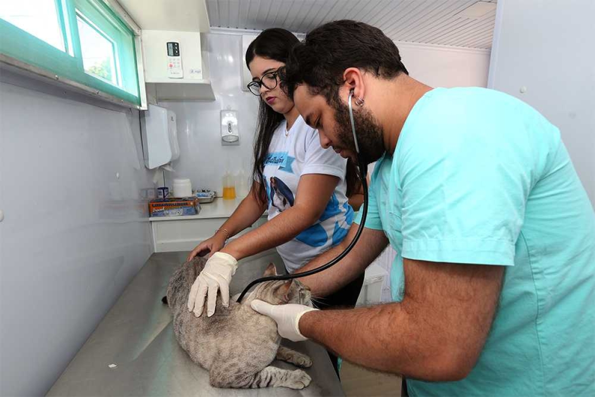 Mesmo com procedimento agendado, muitas ausências são registradas no Castramóvel (Foto: Sergio Silva/ PMA)