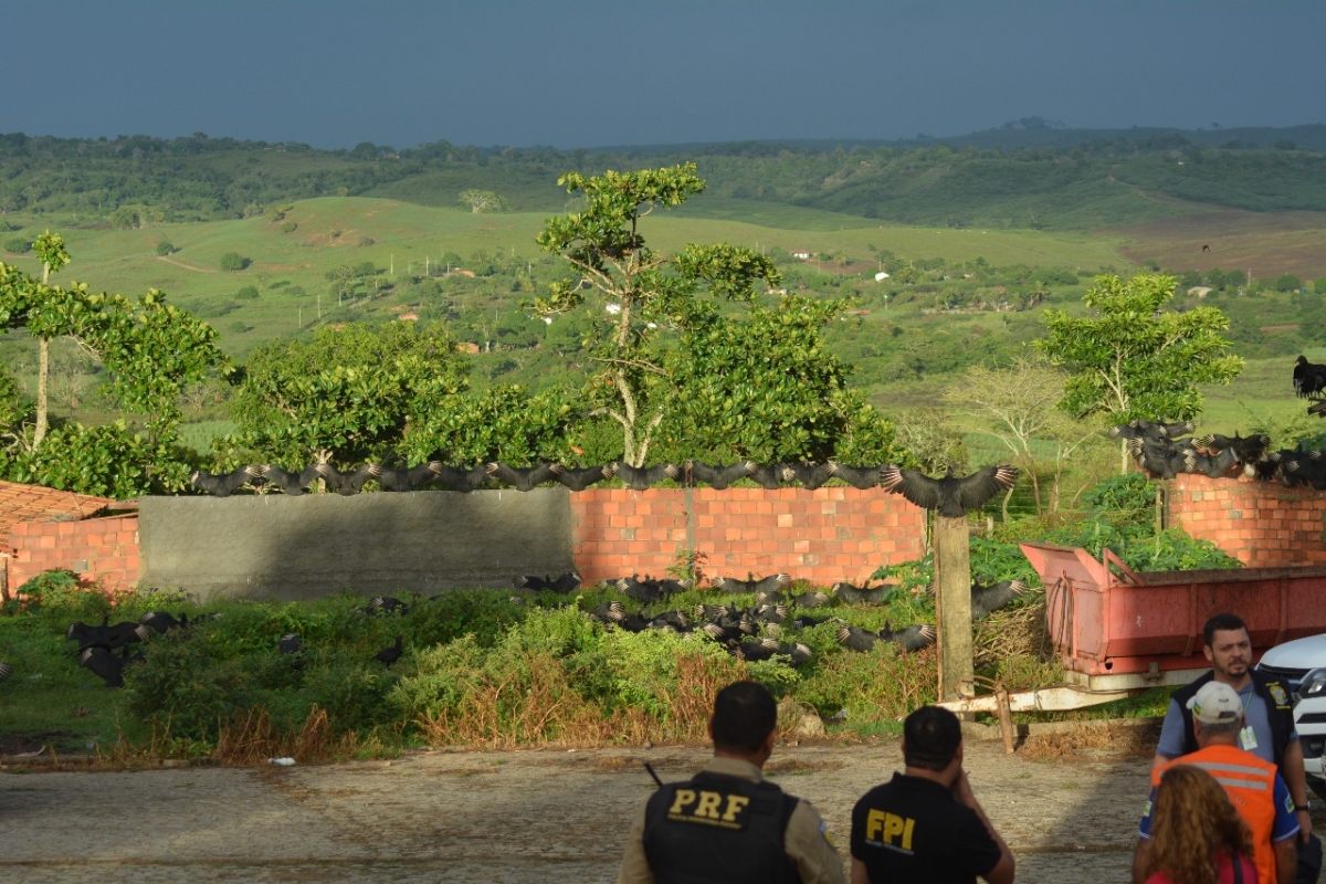 FPI do São Francisco interdita dois matadouros irregulares em Sergipe (Foto: Assessoria FPI/SE)