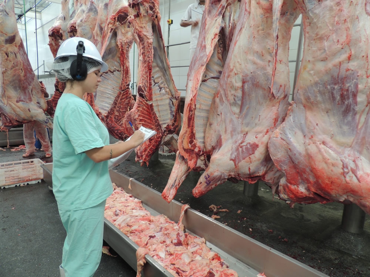 Consumo de carne sem inspeção pode transmitir cisticercose  (Foto: Via Assessoria Frigoserrano)