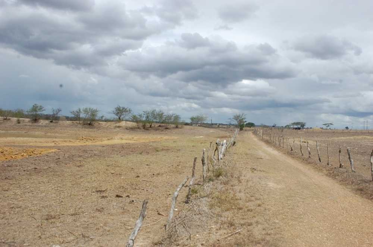 Seca leva gestores a pedir situação de emergência (Foto: Sebastião Alves/ Poço Verde)