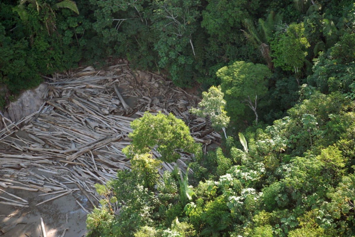 Para 27% dos brasileiros, desmatamento é maior ameaça ao meio ambiente (Foto: Arquivo Agência Brasil)