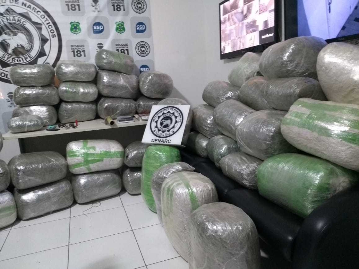 Denarc apreende 320 kg de maconha em chácara de Nossa Senhora do Socorro  (Foto: SSP/SE)